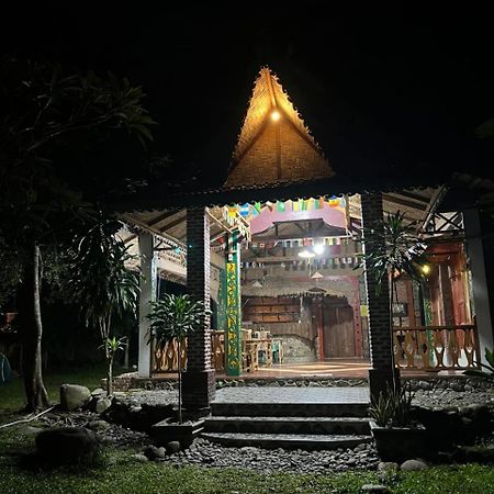 Pongo Guest House & Jungle Trekking 武吉拉旺 外观 照片