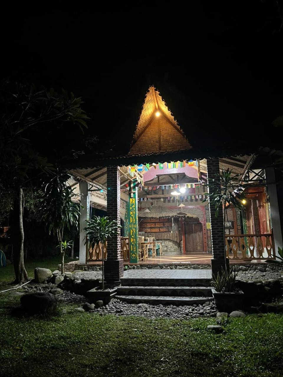 Pongo Guest House & Jungle Trekking 武吉拉旺 外观 照片