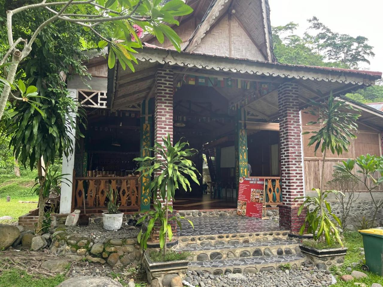 Pongo Guest House & Jungle Trekking 武吉拉旺 外观 照片