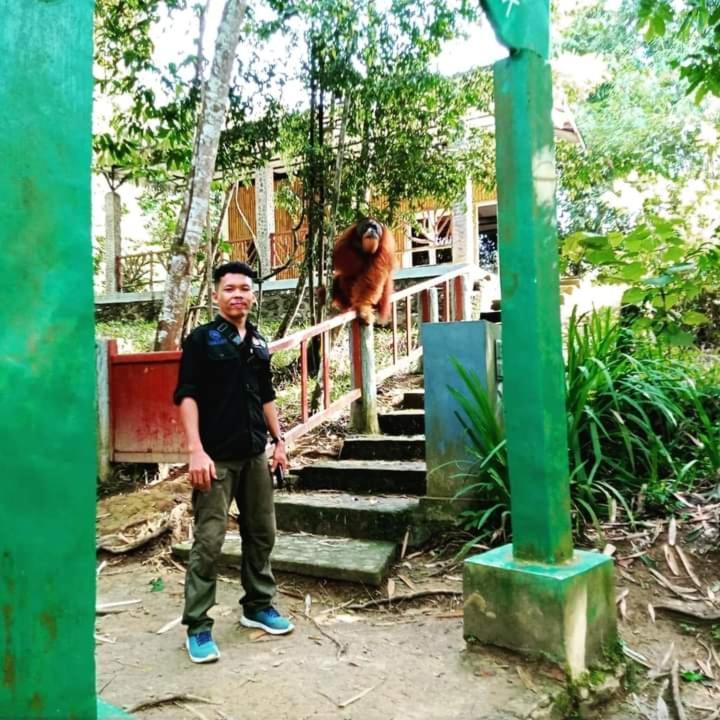 Pongo Guest House & Jungle Trekking 武吉拉旺 外观 照片