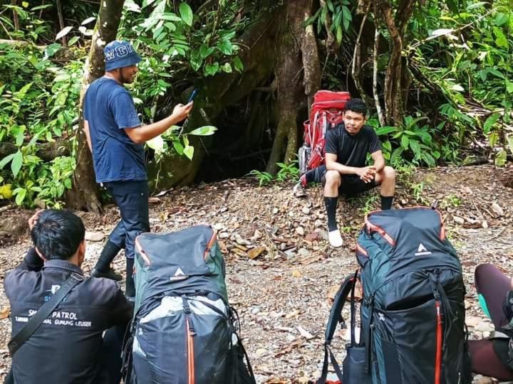 Pongo Guest House & Jungle Trekking 武吉拉旺 外观 照片