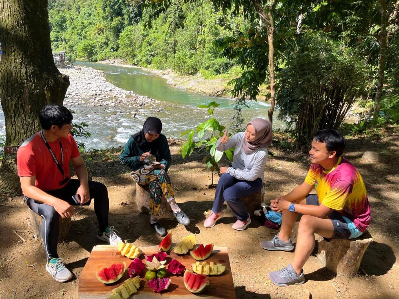 Pongo Guest House & Jungle Trekking 武吉拉旺 外观 照片