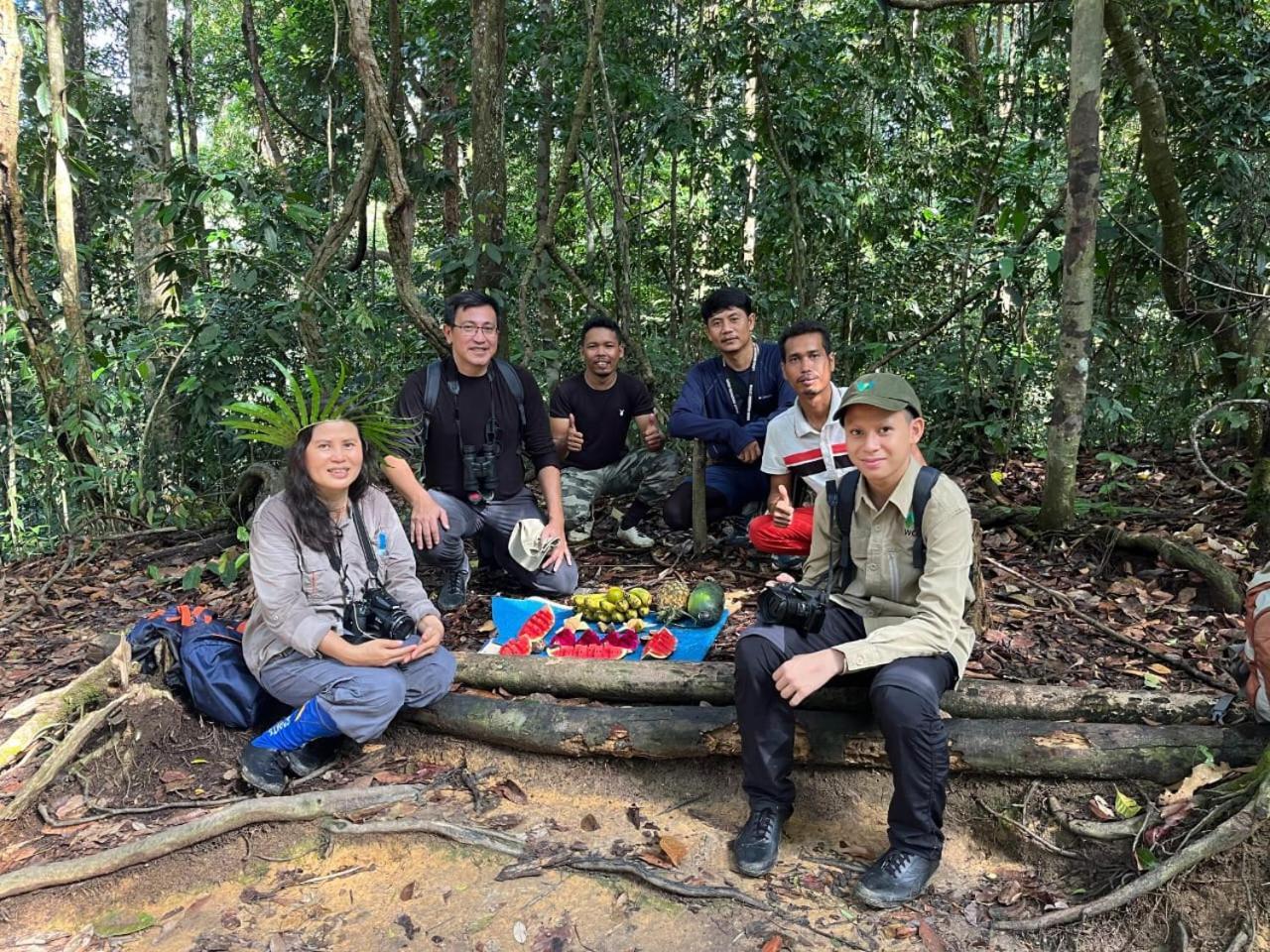Pongo Guest House & Jungle Trekking 武吉拉旺 外观 照片