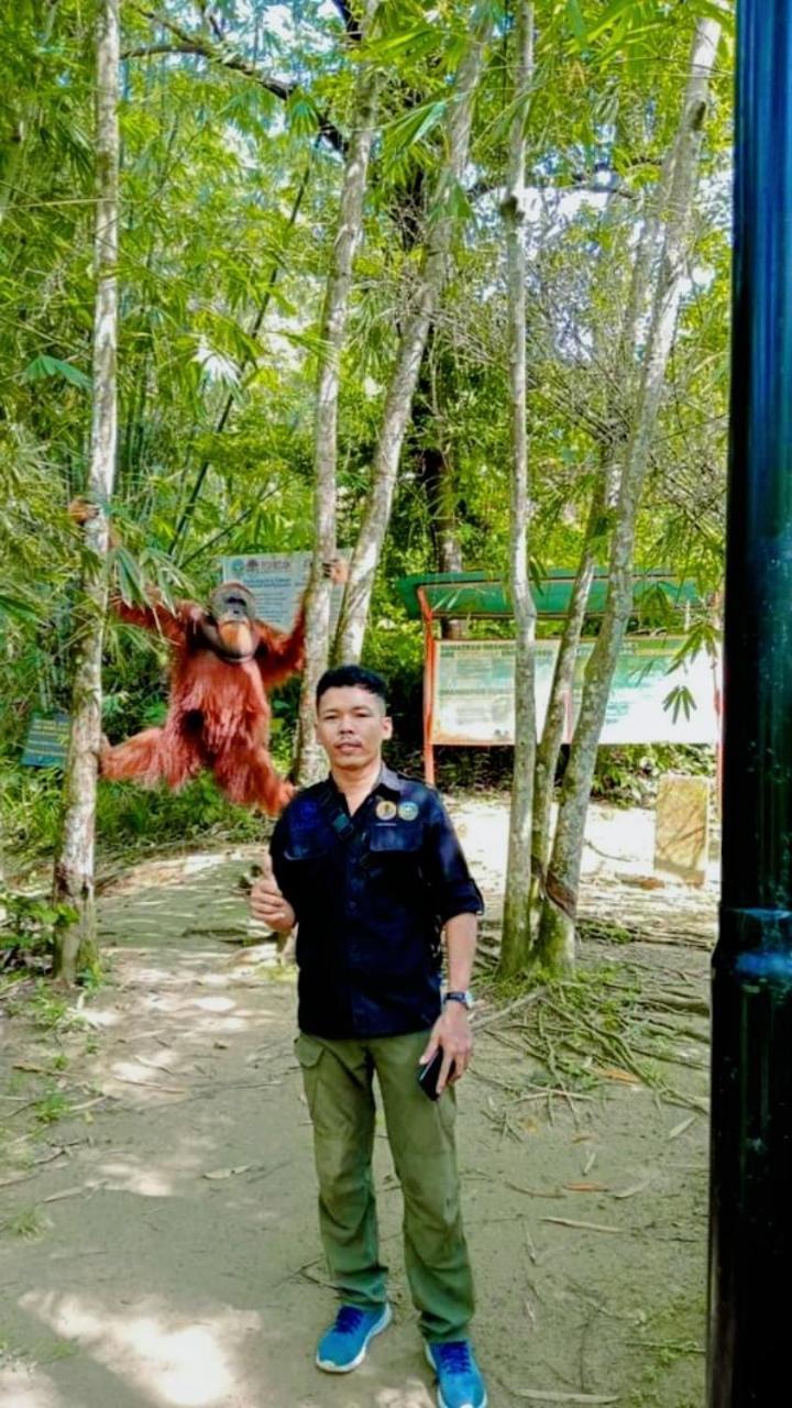 Pongo Guest House & Jungle Trekking 武吉拉旺 外观 照片