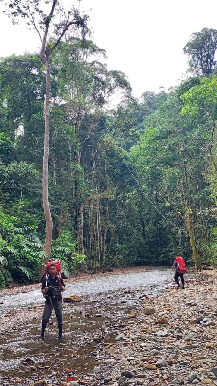 Pongo Guest House & Jungle Trekking 武吉拉旺 外观 照片