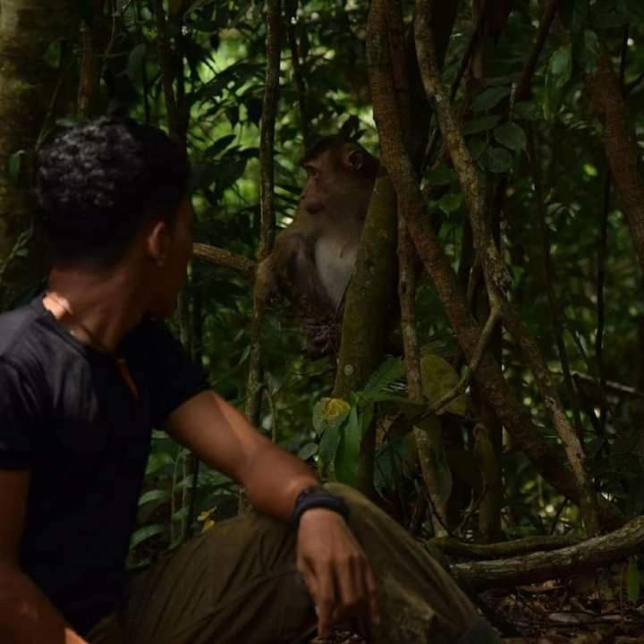 Pongo Guest House & Jungle Trekking 武吉拉旺 外观 照片