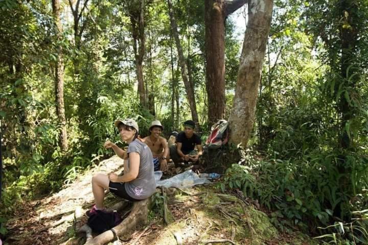 Pongo Guest House & Jungle Trekking 武吉拉旺 外观 照片