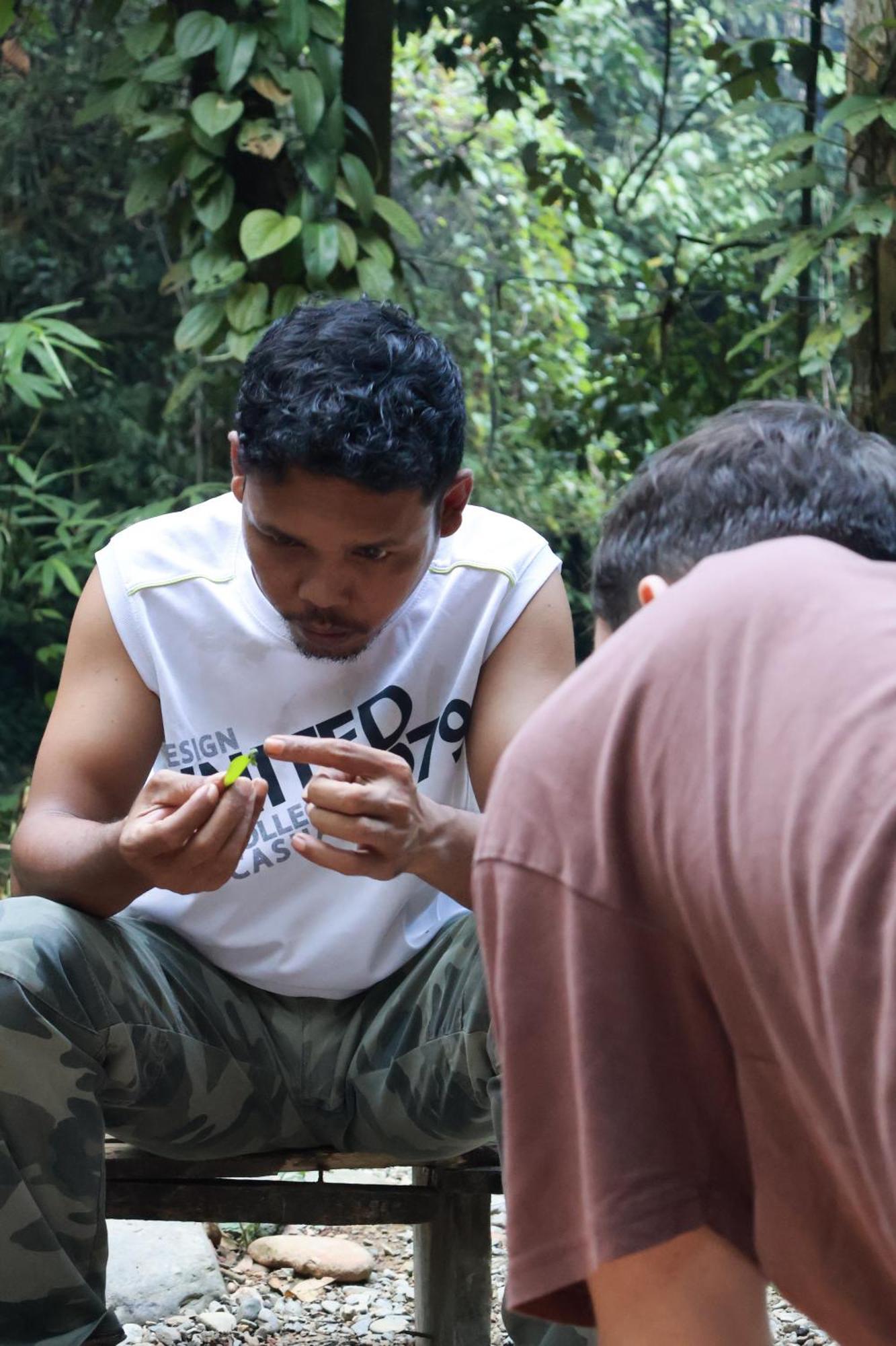 Pongo Guest House & Jungle Trekking 武吉拉旺 外观 照片