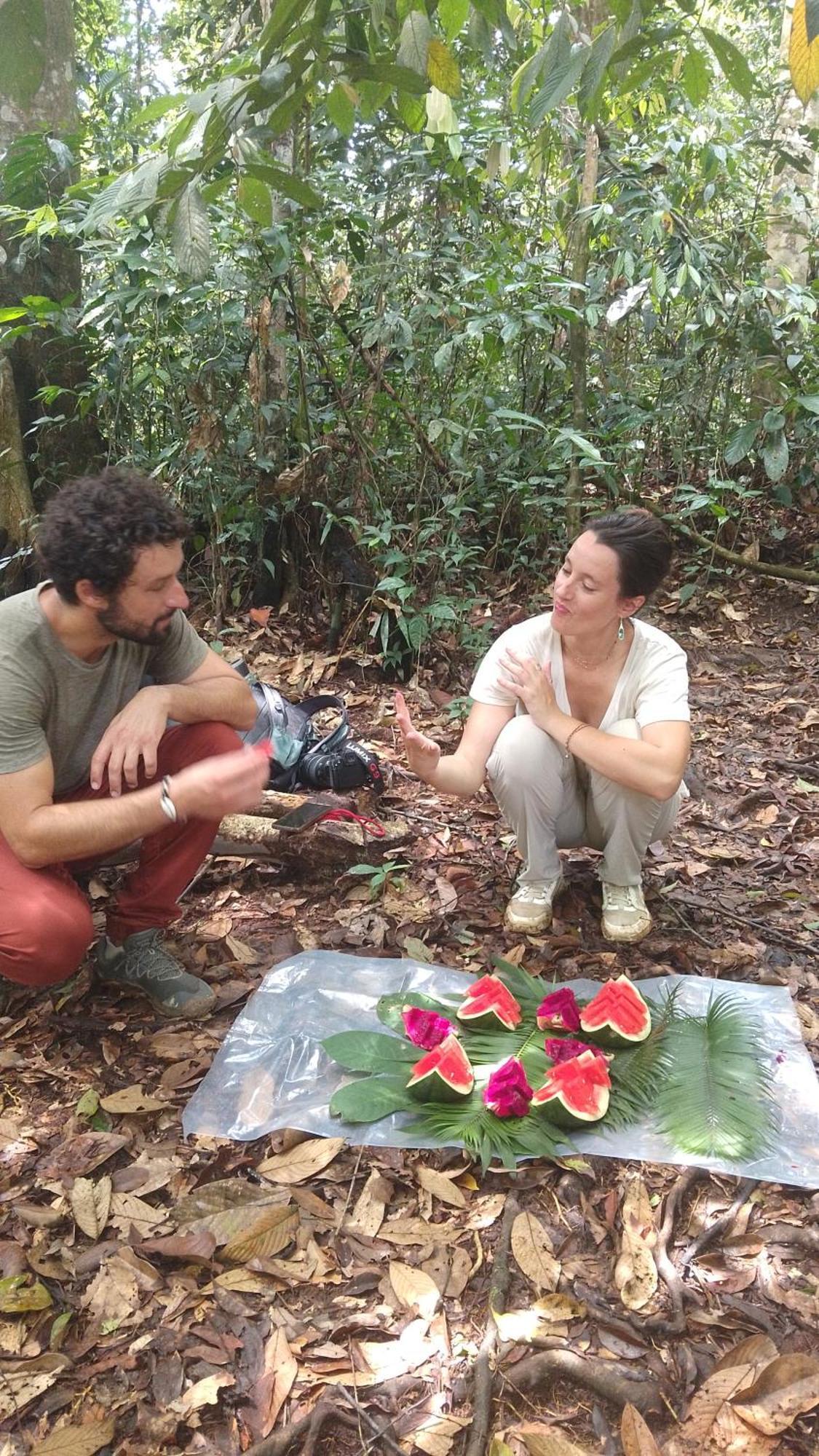 Pongo Guest House & Jungle Trekking 武吉拉旺 外观 照片